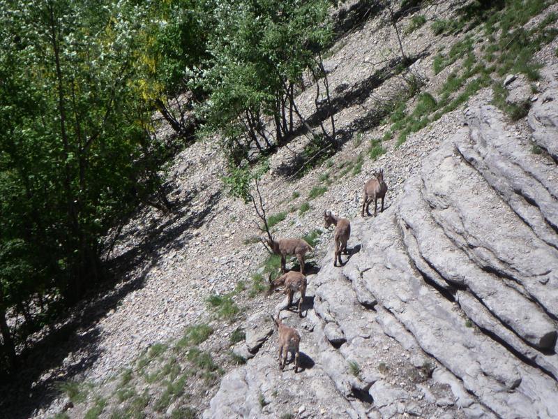 vers le Glandasse