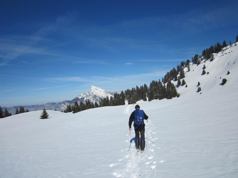 vers le Roc d'Arguille