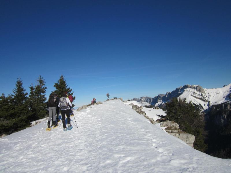vers le Roc d'Arguille