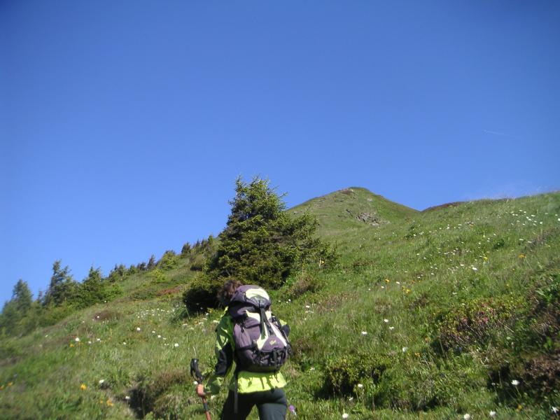 vers le Roc de Tavaneuse