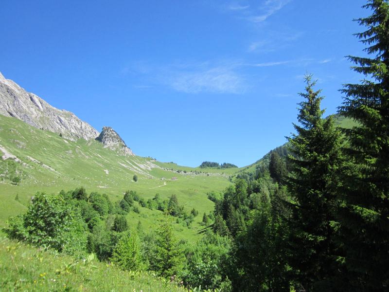 vers le col d'Orgeval