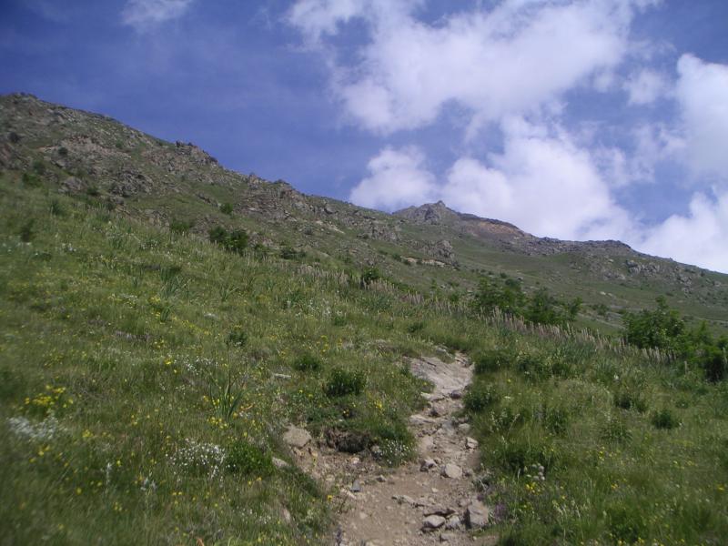 vers le col de Sarenne