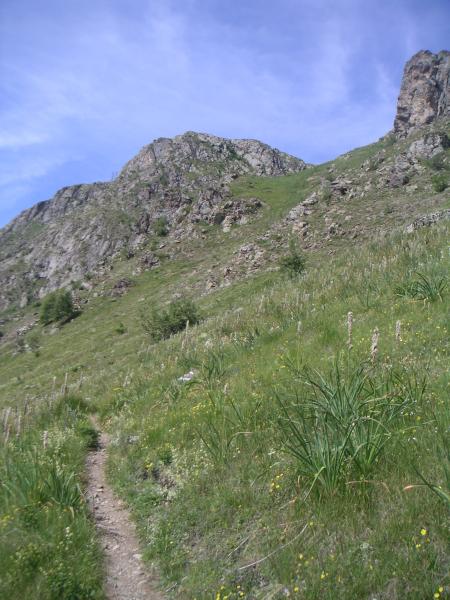 vers le col de Sarenne