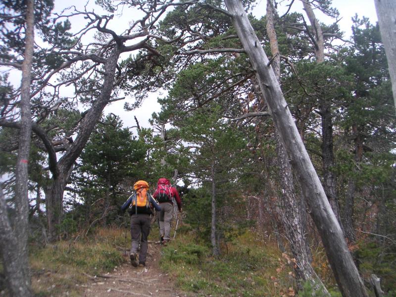 vers le col des Pellas