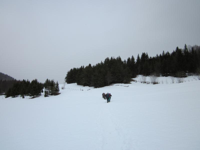 vers le col du Granier...