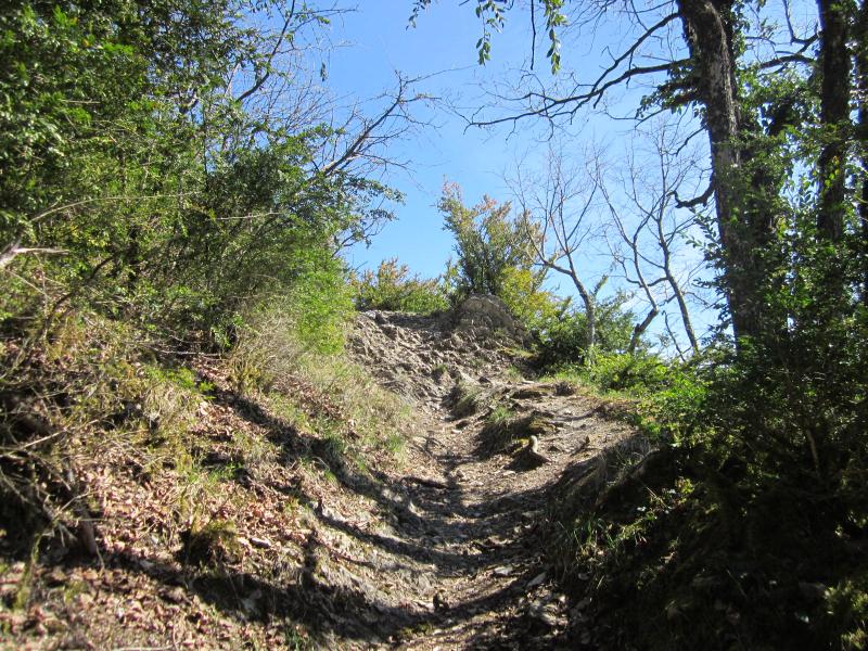 vers le col du Mont