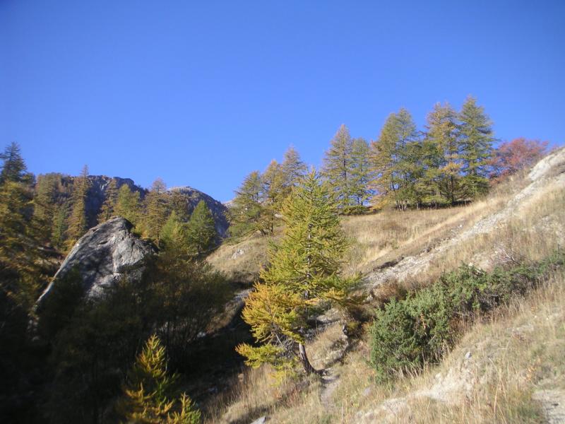 vers les chalets de Fréjus
