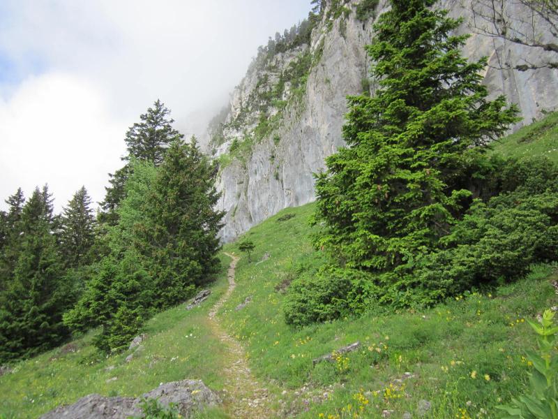 vers les falaises