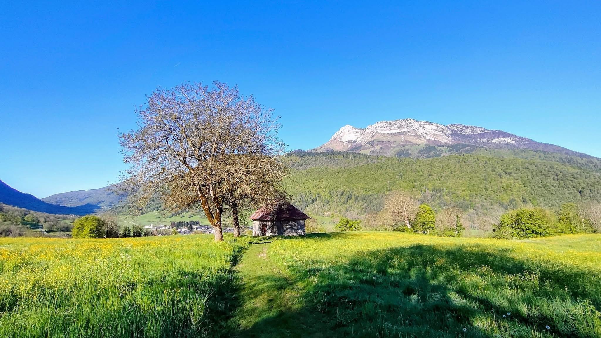 La verte montagne