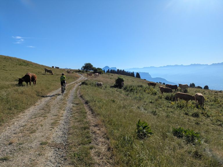 Dernière répétition