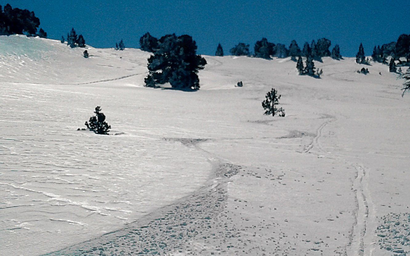 Vieille poudreuse