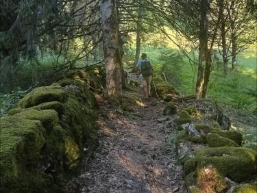 Vieux sentier 