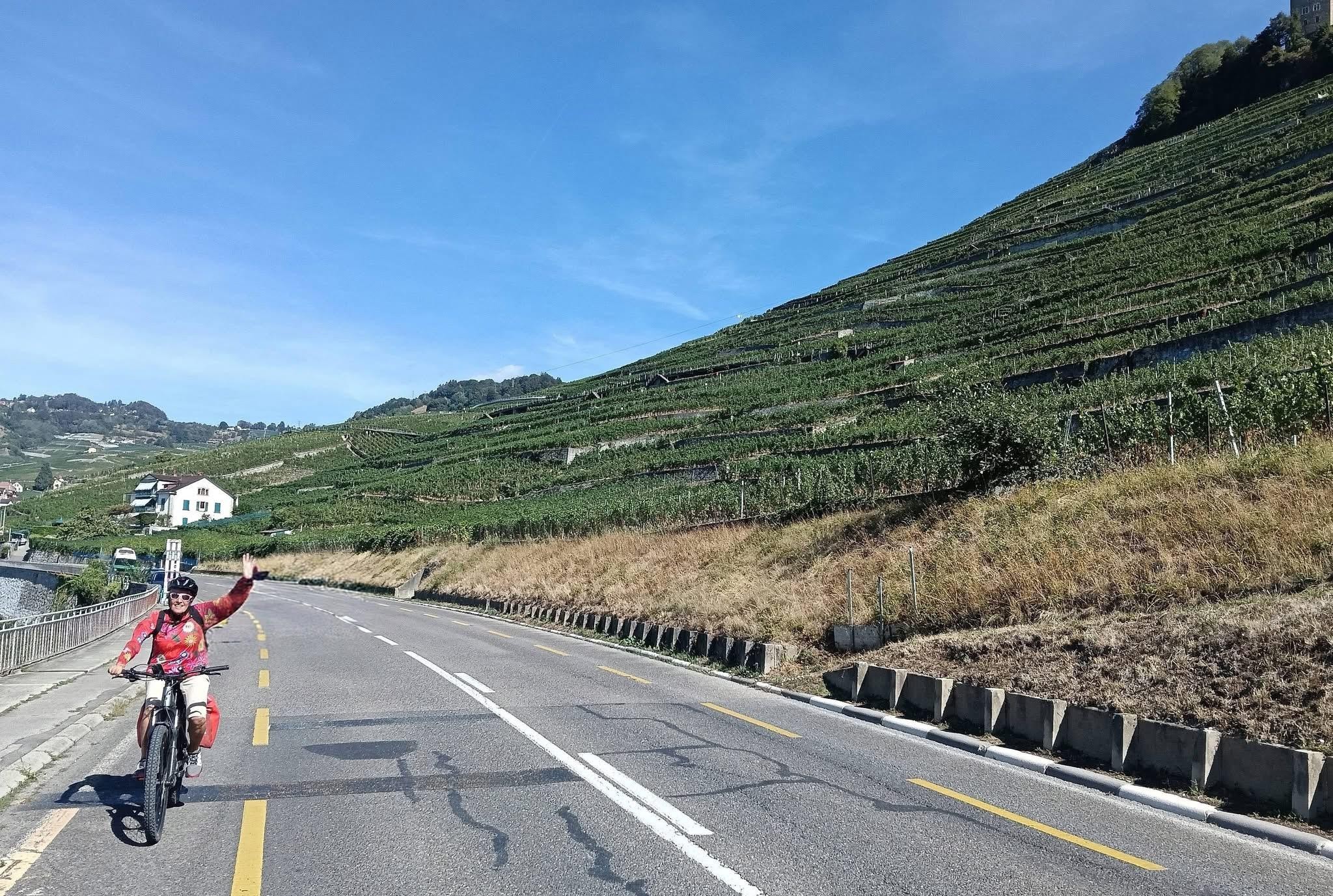 Les vignes de Lavaud 