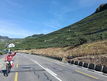 Les vignes de Lavaud 