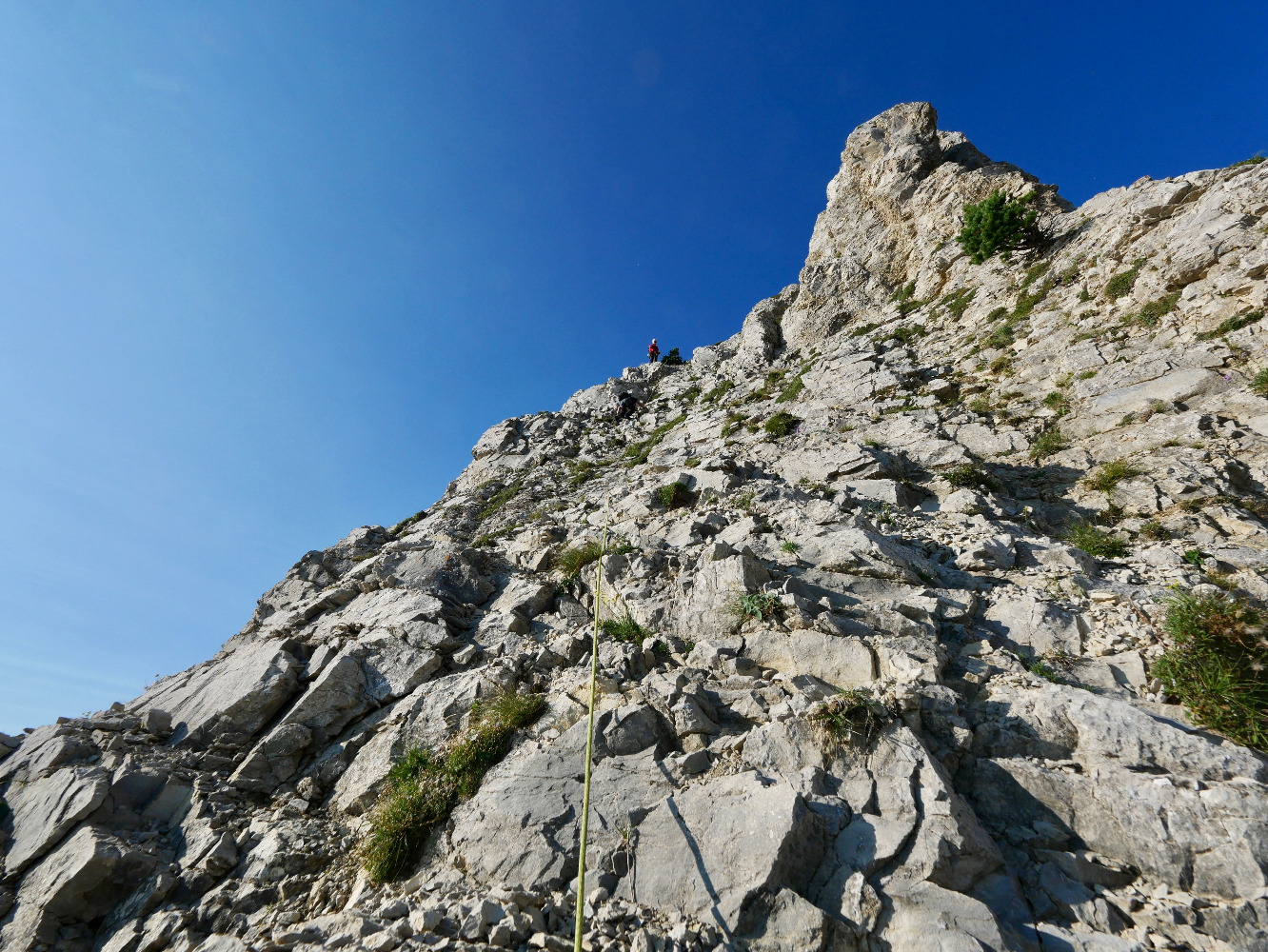 Sur l'arÃªte du Petit Veymont.