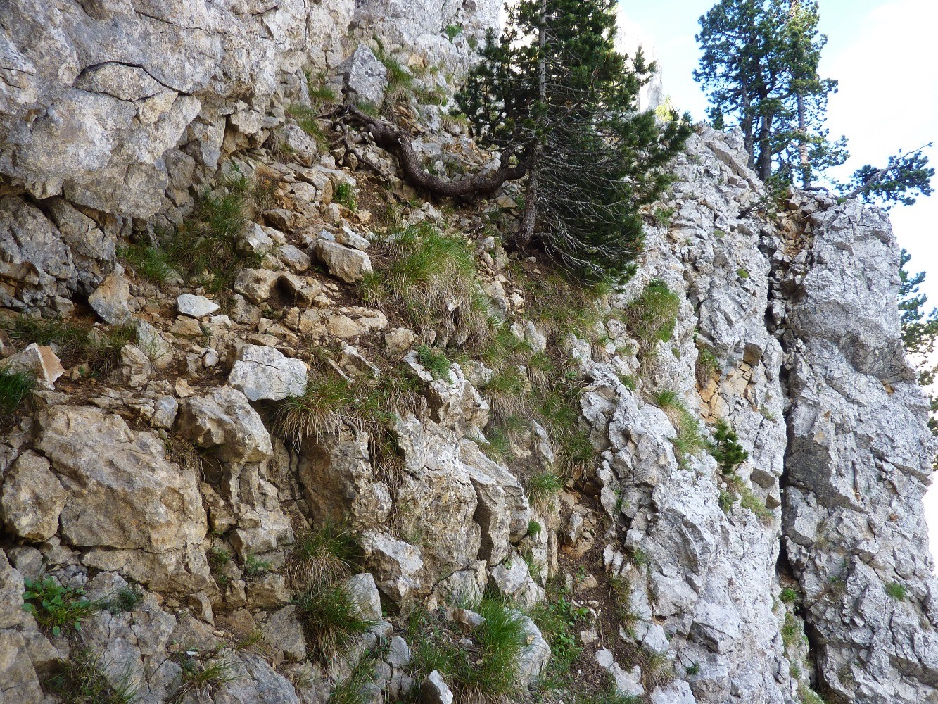 Vire montante