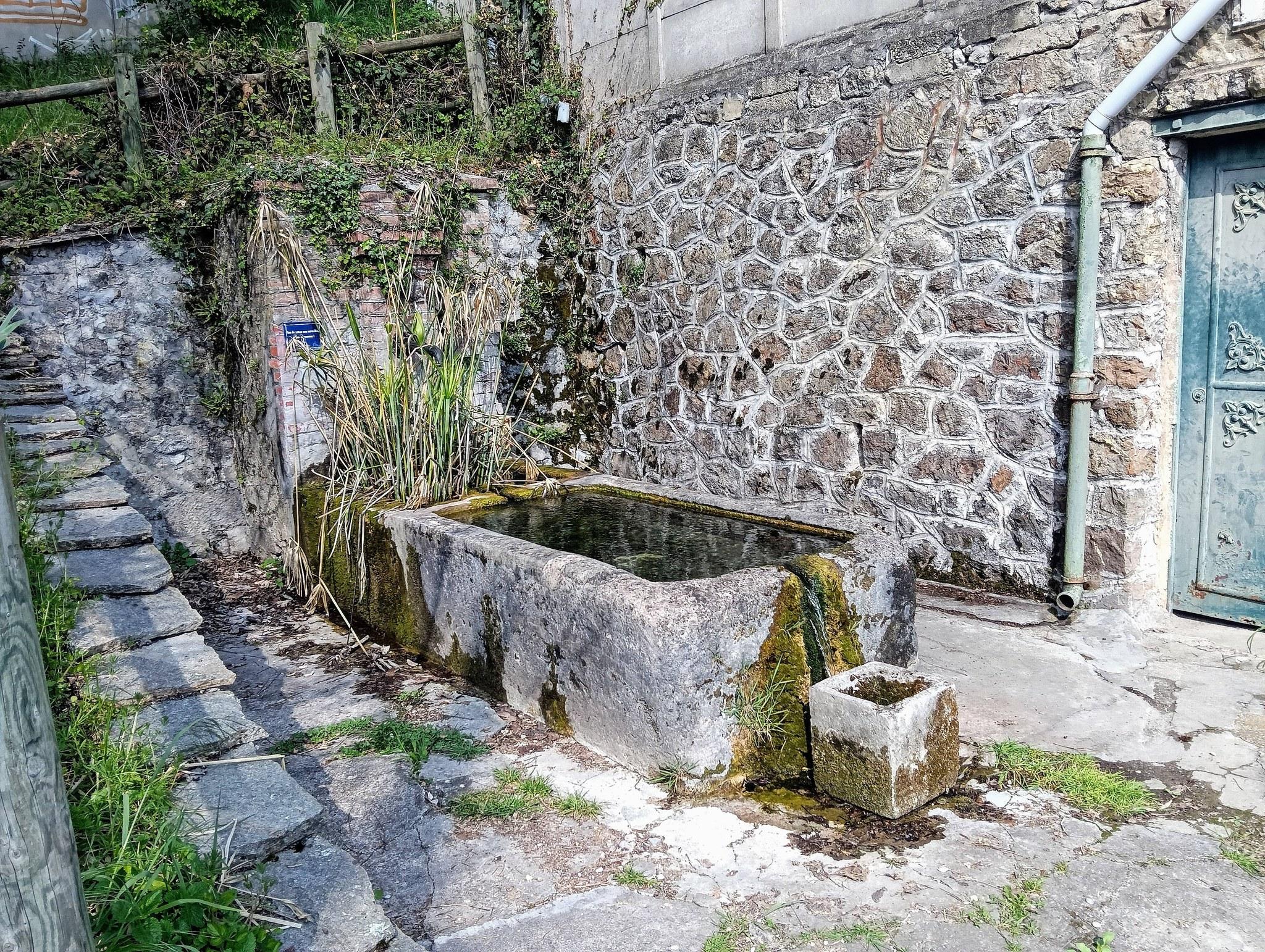 VIrée dans la fraicheur et la boue