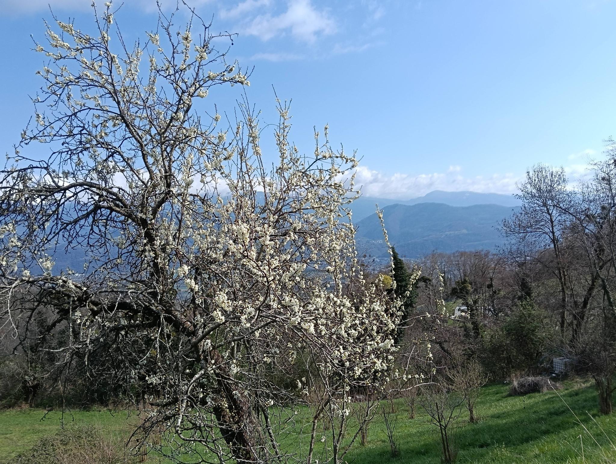 VIrée dans la fraicheur et la boue