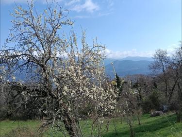 VIrée dans la fraicheur et la boue