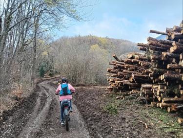 VIrée dans la fraicheur et la boue (Mont Rachais)
