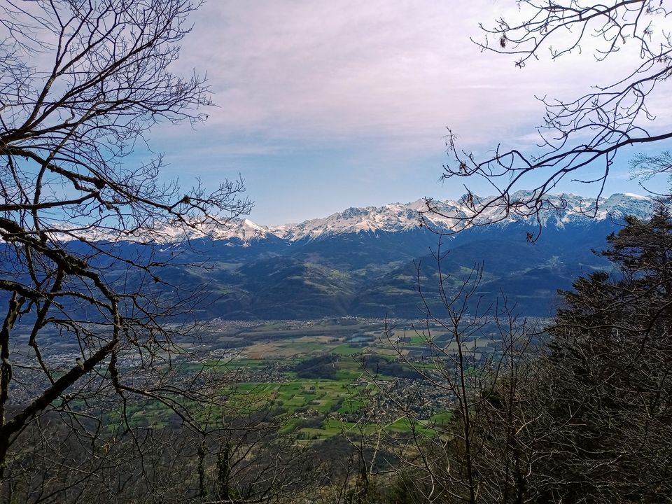 Apercu de Belledonne Ã  travers les branches en bourgeon 