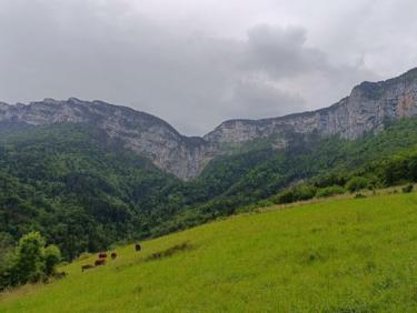 🇺🇦 Trail Porte de l&apos;Alpette