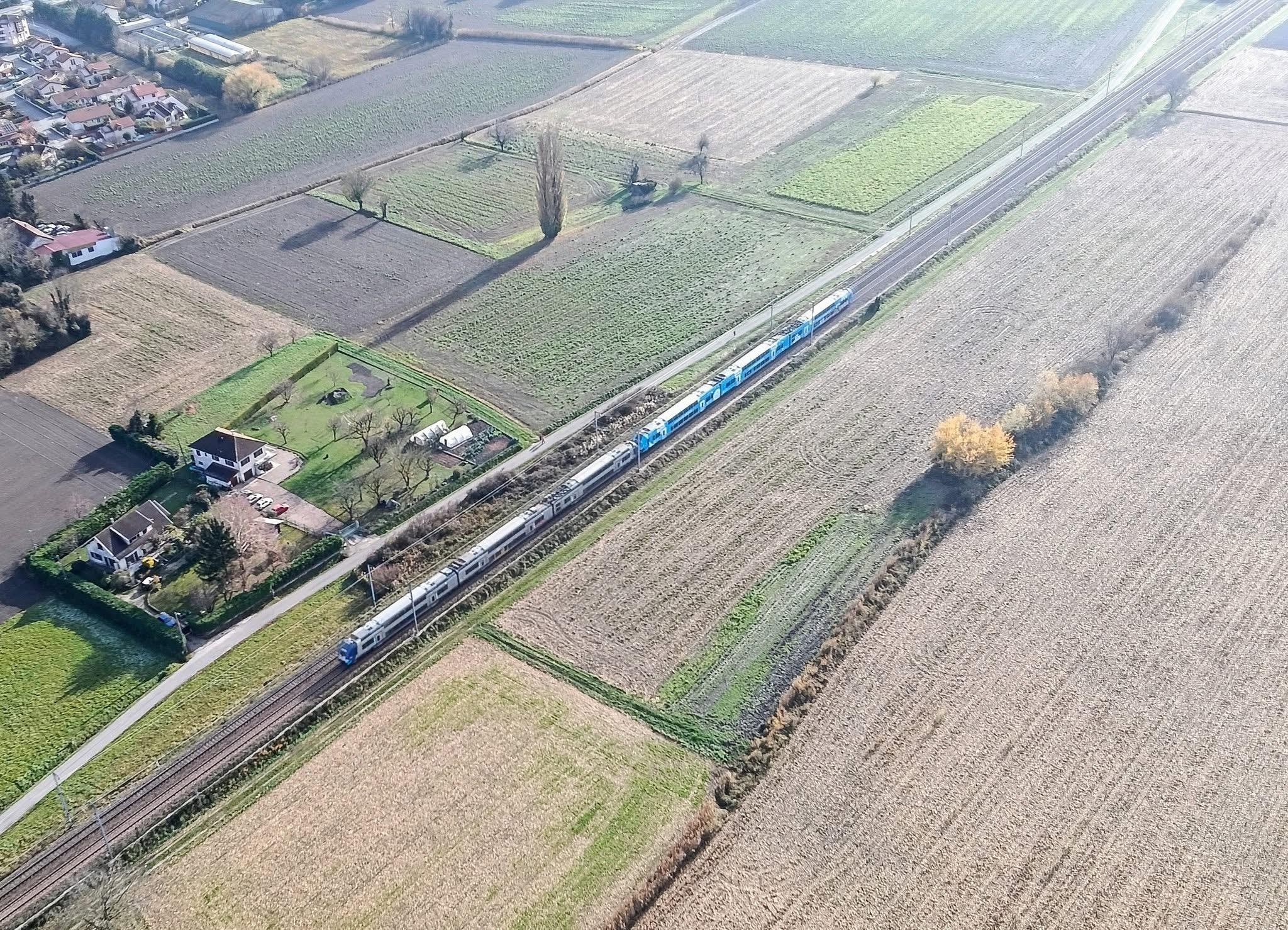 Le voile des Nonnes de Chalais 