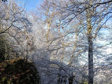 Le voile des Nonnes de Chalais  (Aiguille de Chalais)