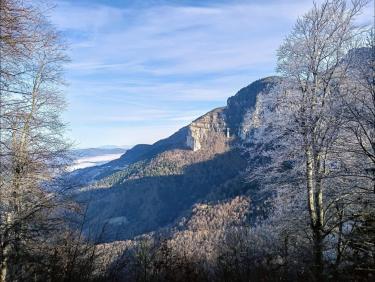 Le voile des Nonnes de Chalais 