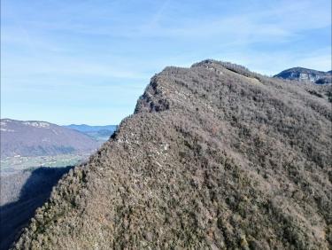 Le voile des Nonnes de Chalais 