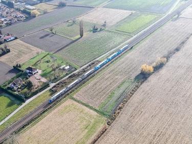 Le voile des Nonnes de Chalais 