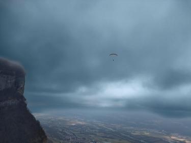 Vol avec les chamois