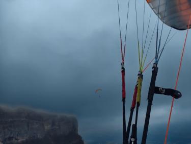 Vol avec les chamois