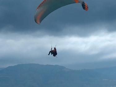 Vol avec les chamois