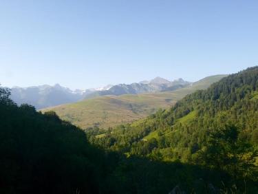 Vol avec les vautours 