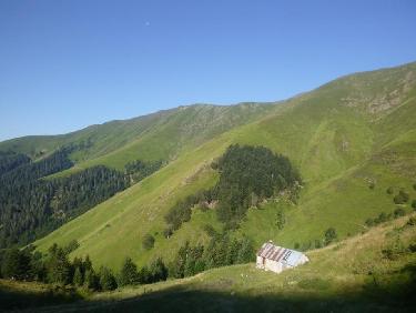 Vol avec les vautours 