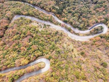 Vol avec les sirènes 