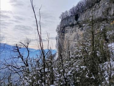Vol dans un congélateur 