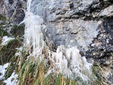 Vol dans un congélateur 