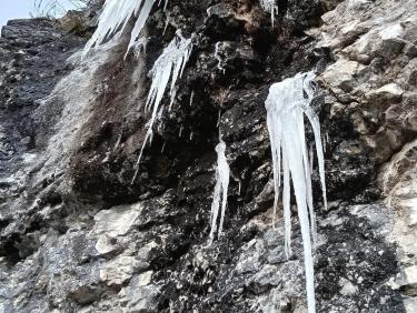 Vol dans un congélateur 