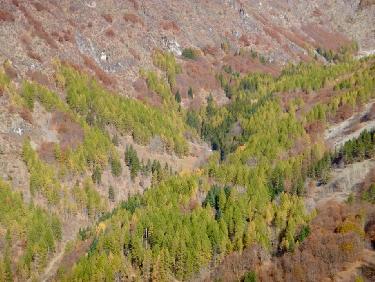 MÃ©lÃ¨zes en pleine mutation