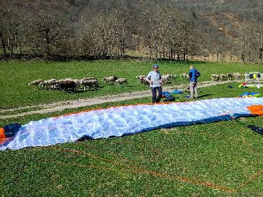 Pliage au milieu des moutons