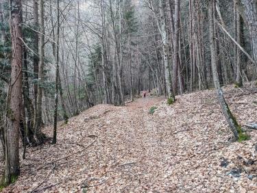 Vol au dessus de la mine d’or 