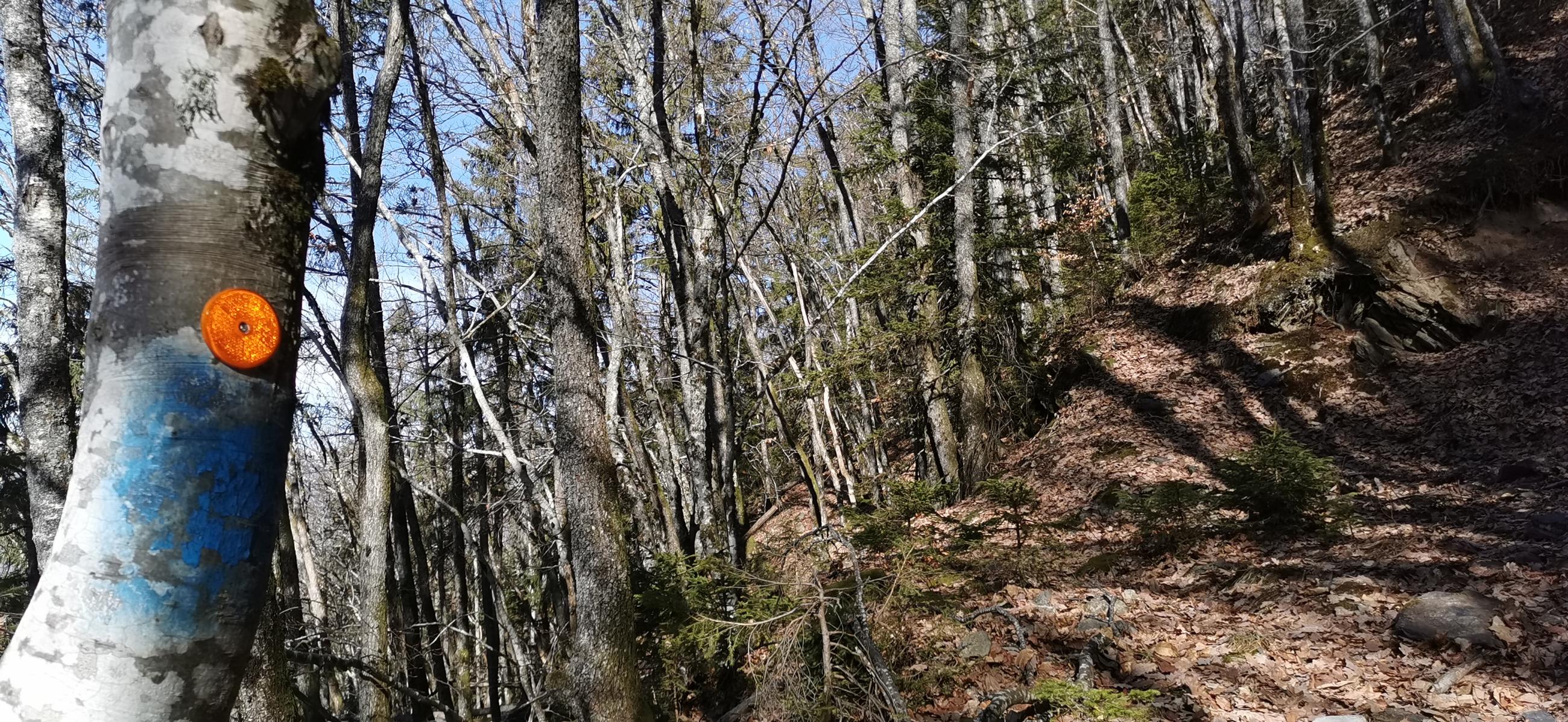 Vol au dessus des bouchons 
