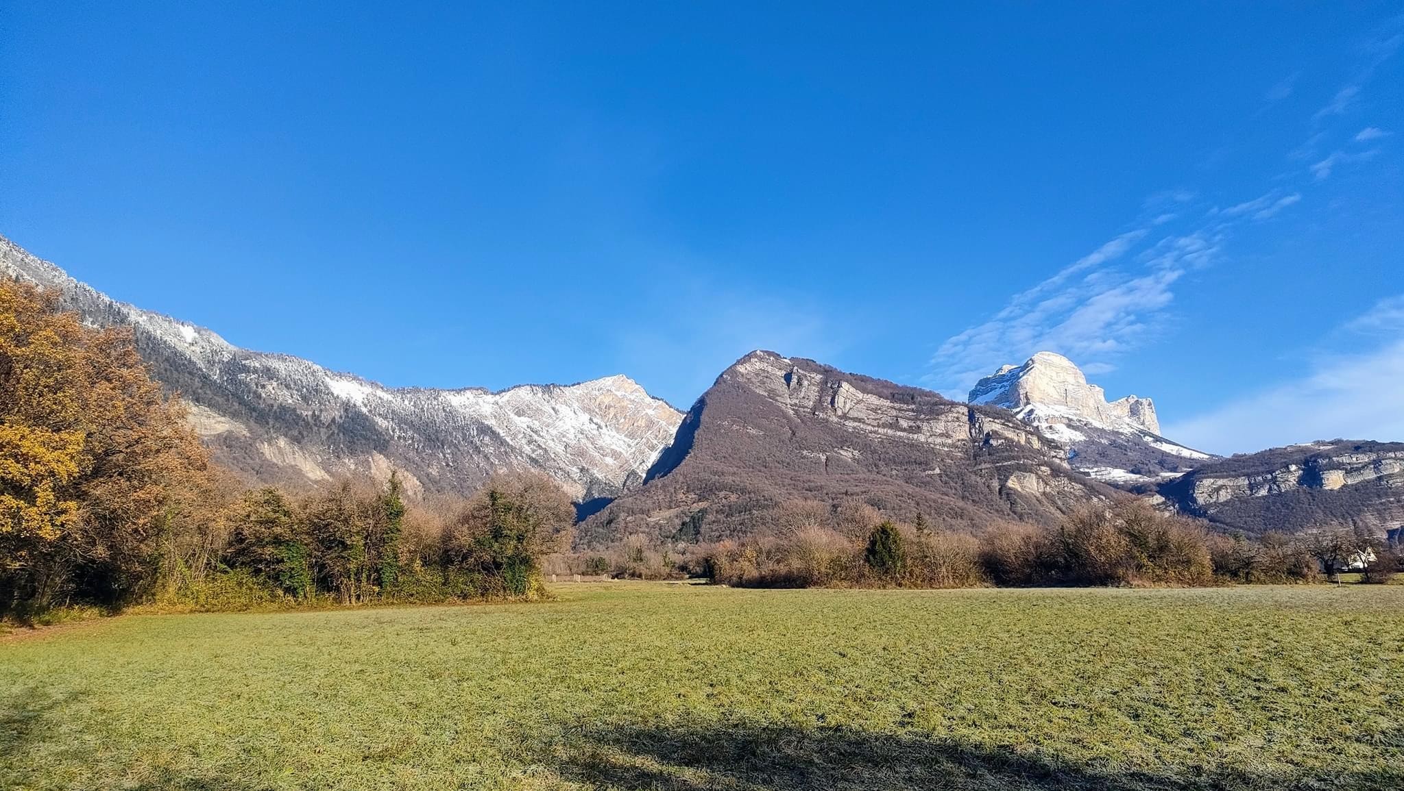 Vol dans un congélateur