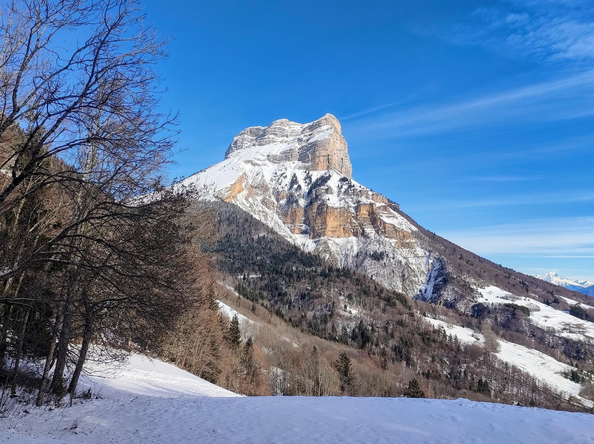 Vol dans un congélateur