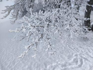 Vol sans visibilité...