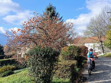 VTT avec l&apos;excellent Jeannot