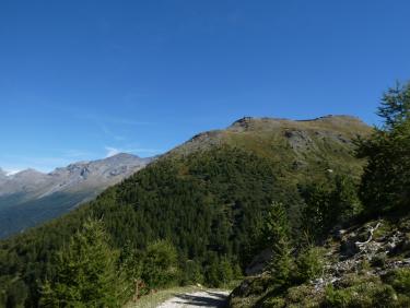 Fort de la petite Turra-DH de la Ramasse  (La Petite Turra)