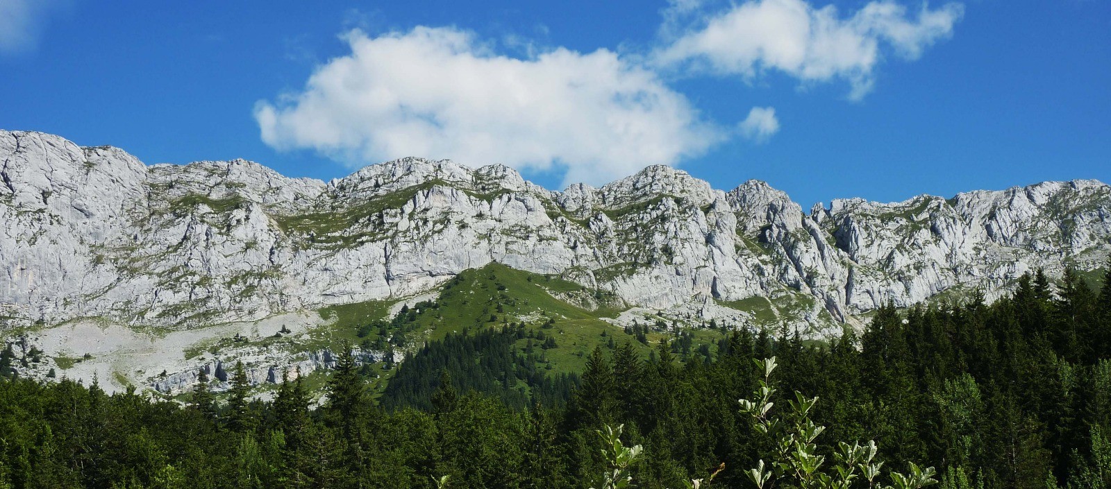 Vue d'ensemble en Ã©tÃ©